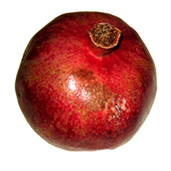 Granatapfel , ca. 220g/Stück