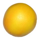 Grapefruit