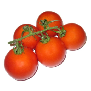 Tomaten