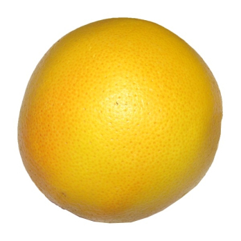 Grapefruit
